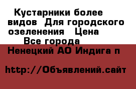 Кустарники более 100 видов. Для городского озеленения › Цена ­ 70 - Все города  »    . Ненецкий АО,Индига п.